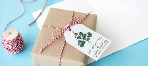 Thank You Cards