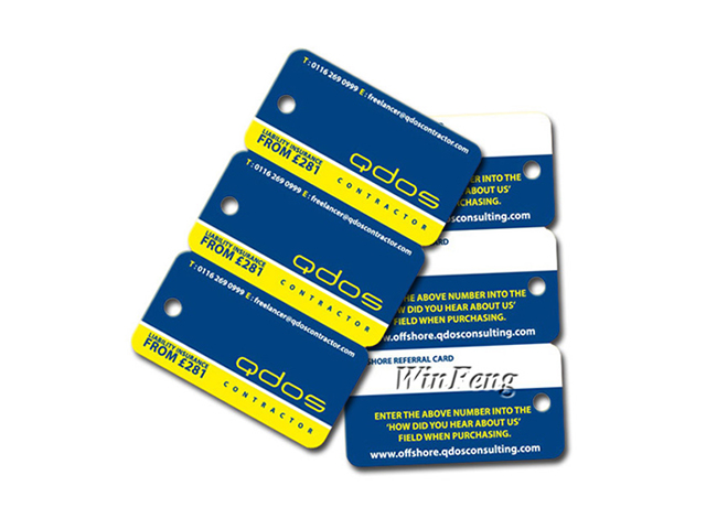 CMYK Printing PVC Loyalty combo card